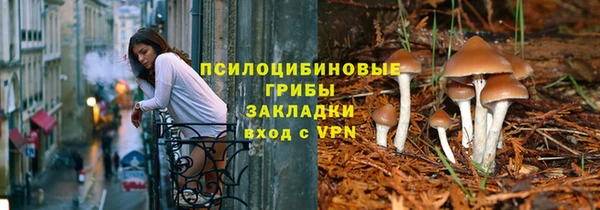 экстази Бикин