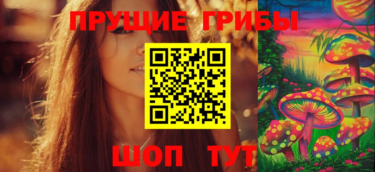 Псилоцибиновые грибы прущие грибы  где найти   Коммунар  Вход с VPN 
