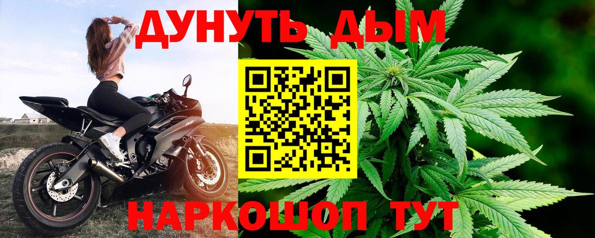 Каннабис индика Коммунар